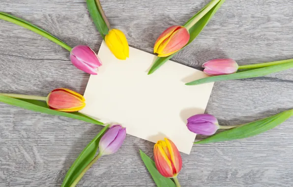 Picture colorful, tulips, wood, pink, flowers, tulips, spring