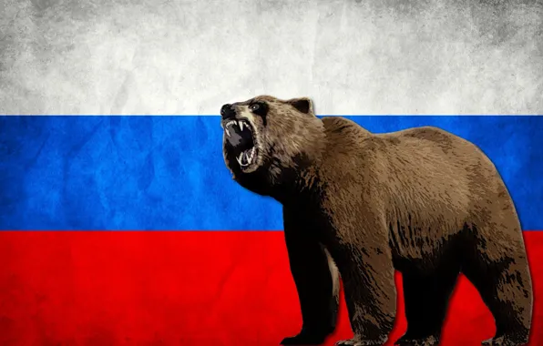 Russia, animals, flag, bears, mammals