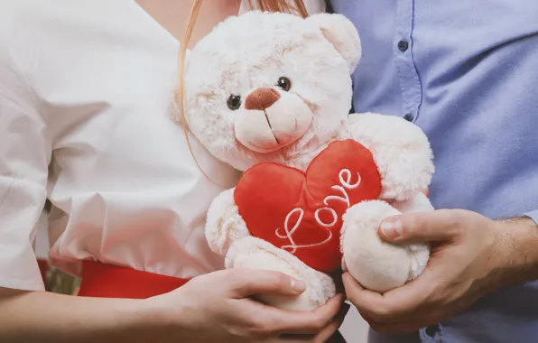 Girl, toy, bear, love, guy, heart
