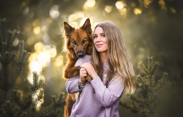 Forest, girl, light, dog, blonde, needles, friends, bokeh