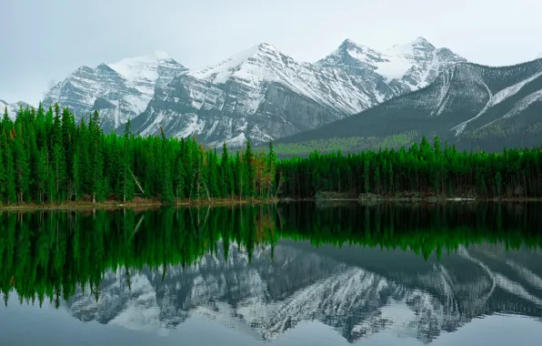 Mountains, lake, reflection, Banff, Herbert Lake