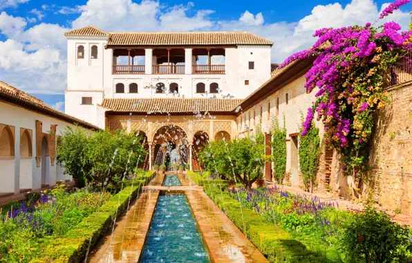 Greens, the sky, water, the sun, clouds, flowers, squirt, house