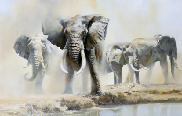 Water, Picture, Elephants, Donald Grant, British animal artist, Donald Grant, Elephants at a watering hole