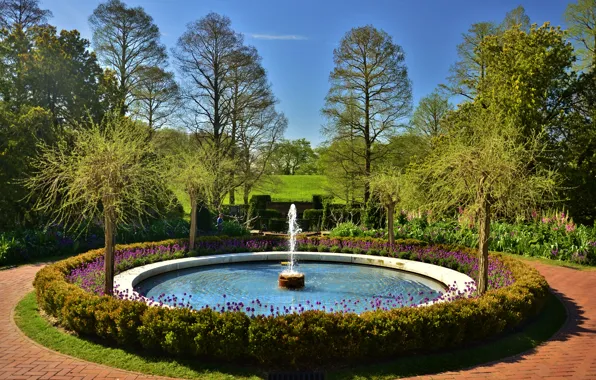 Trees, flowers, Park, fountain, USA, Sunny, Longwood, Kennett Square