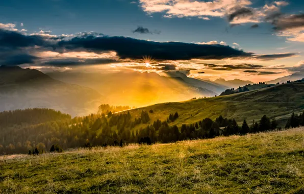 Field, light, nature, fog, morning