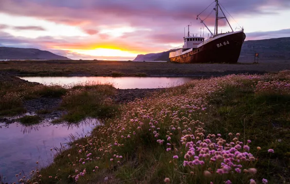Flowers, shore, ship, pond, the ship
