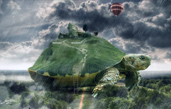 Picture house, balloon, rain, turtle, art, ladder, giant