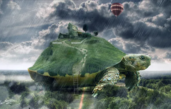 House, balloon, rain, turtle, art, ladder, giant