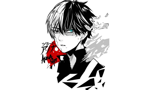 Portrait, guy, Boku no Hero Academy, Todoroki Shoto, My heroic academia