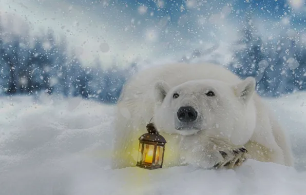 Picture winter, snow, graphics, lantern, polar bear, illustration, digital art