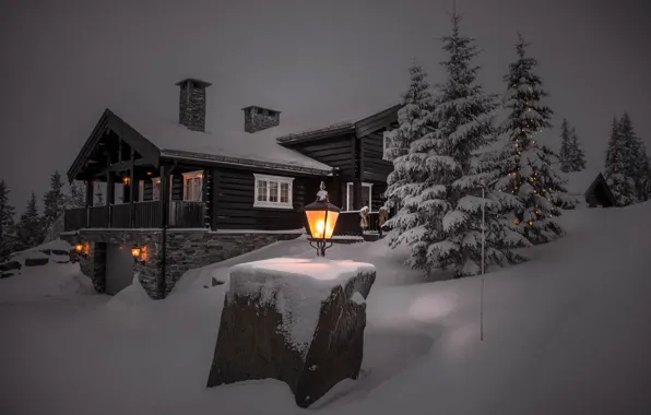 Winter, light, snow, trees, landscape, night, nature, house