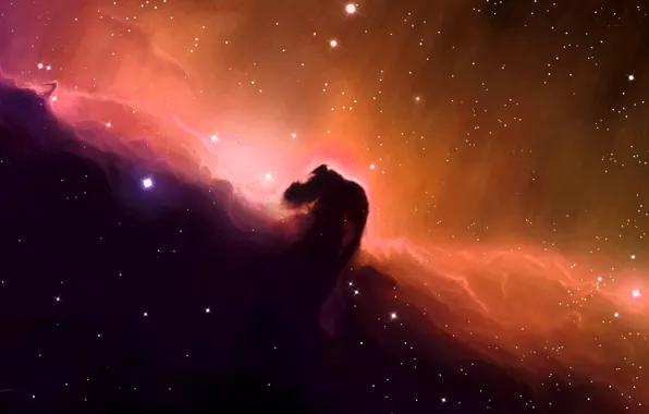 Space, stars, nebula, art, horse head