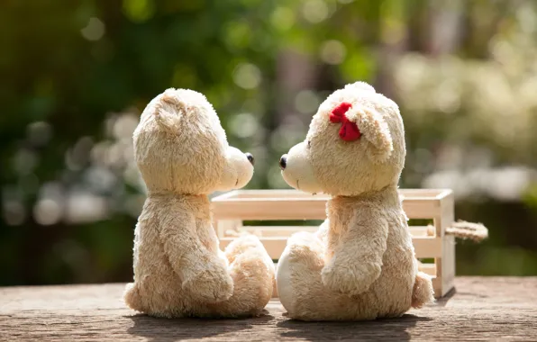 Love, toy, bear, pair, love, bear, park, kiss