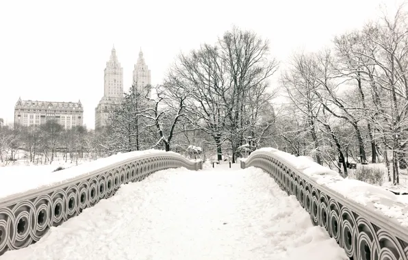 Picture winter, snow, trees, the city, Park, building, home, New York, USA, USA, Manhattan, New York, …