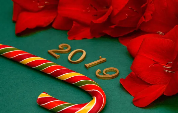 New Year, figures, red, background, New Year, petals, decoration, Happy