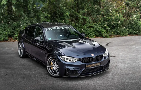 Car, machine, trees, tuning, BMW, black, tuning, BMW M3