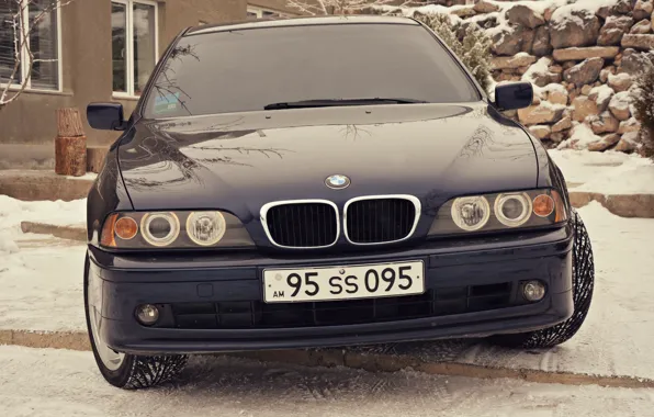 Picture BMW, e39, angel eyes, 520