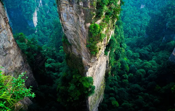 Mountains, tabs, Zhangjiajie National Park