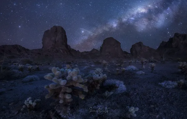 Picture the sky, stars, mountains, night, rocks, desert, cacti, the milky way