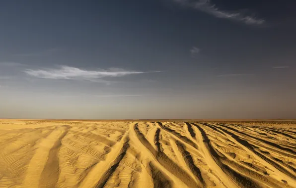 Picture sand, nature, desert, Sugar, Tunisia, Northern Sahara