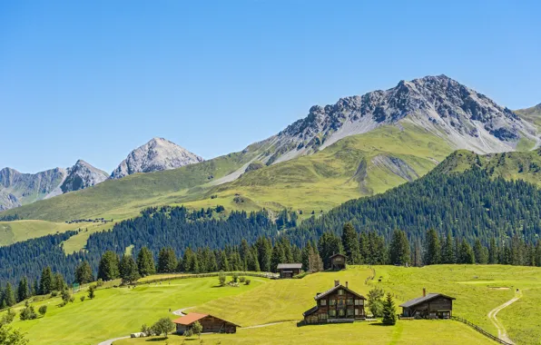 Picture the sky, the sun, mountains, field, Switzerland, houses, forest, meadows