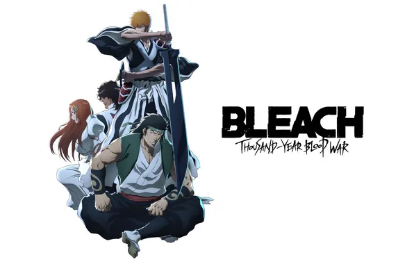 Sword, game, bleach, weapon, anime, Kurosaki Ichigo, ken, ichigo
