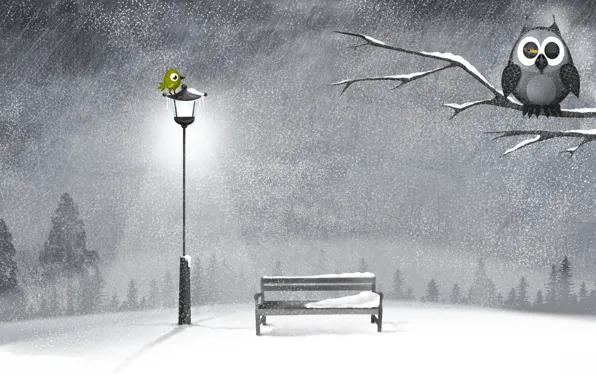 Picture winter, snow, night, tree, owl, shop, lantern, bird