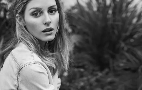 Picture photo, model, black and white, It, Olivia Palermo, An Le, Olivia Palermo