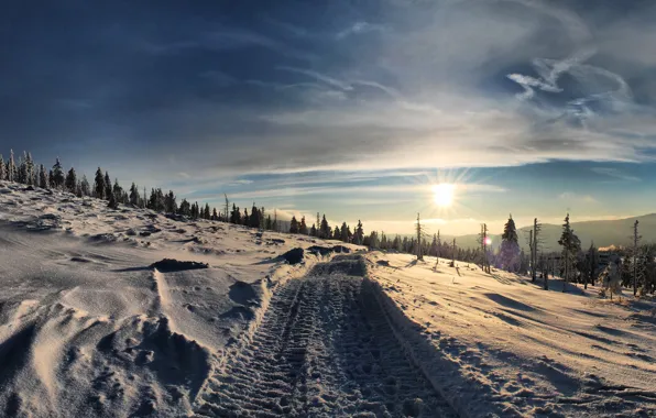Picture winter, road, the sky, the sun, snow, landscape, nature, photo