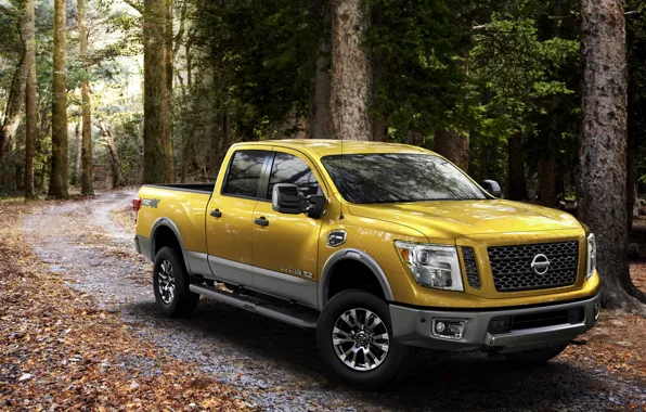 Picture Nissan, Nissan, Titan, Crew Cab, Titan, 2015