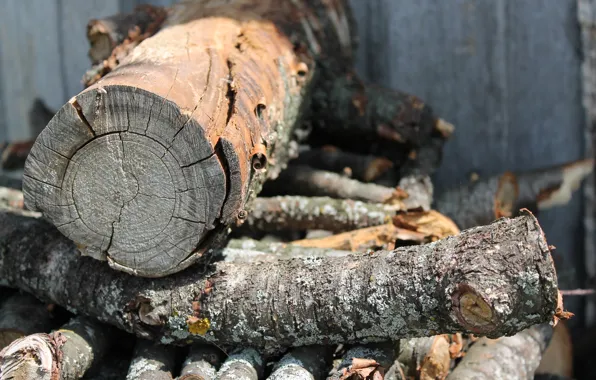 Village, logs, log, frame, July, 2016