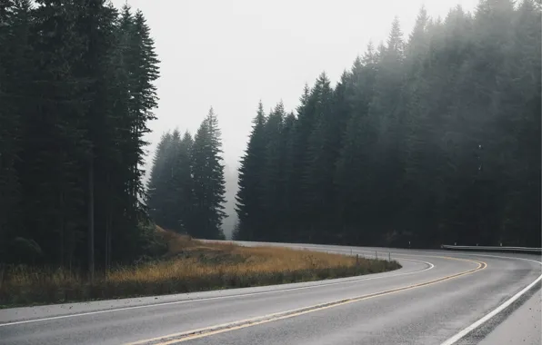 Road, forest, asphalt, track, spruce, ate, highway