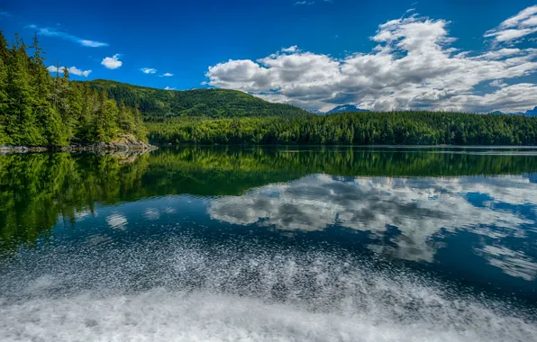 Picture forest, the sky, the sun, clouds, trees, mountains, lake, Canada