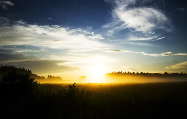 Picture field, summer, the sun, clouds, light, landscape, sunset, nature