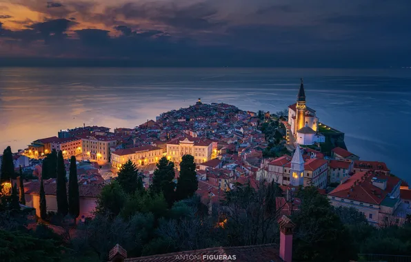 Sea, trees, building, home, panorama, night city, Piran, Slovenia