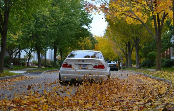 Picture road, autumn, leaves, BMW, White, Coupe, E46