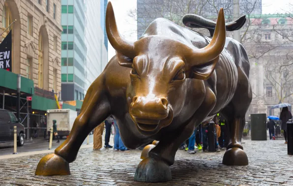 Picture New York, pose, bronze bull