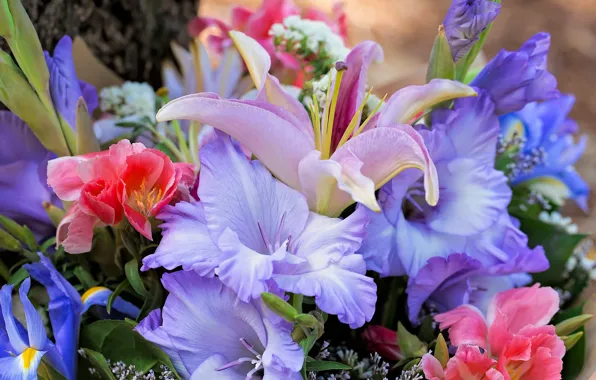 Picture Lily, bouquet, gladiolus, iris