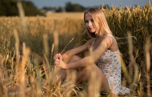 Field, look, girl, pose, Jack Russell