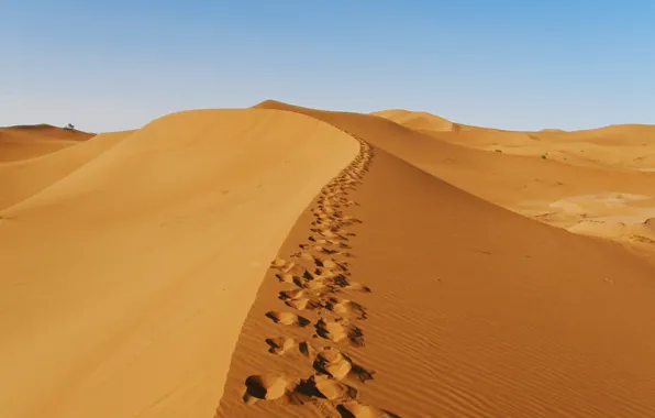 Nature, Desert, Traces, Nature, Desert