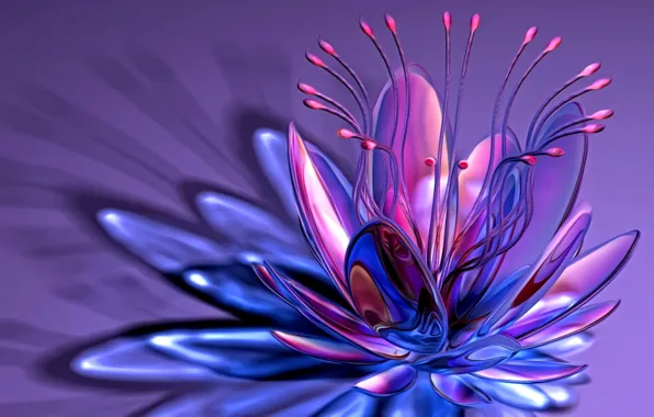 Picture line, abstraction, rendering, fantasy, petals, curves, stamens, lilac background