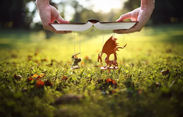 Picture grass, lawn, dragon, hands, book, knight, thread