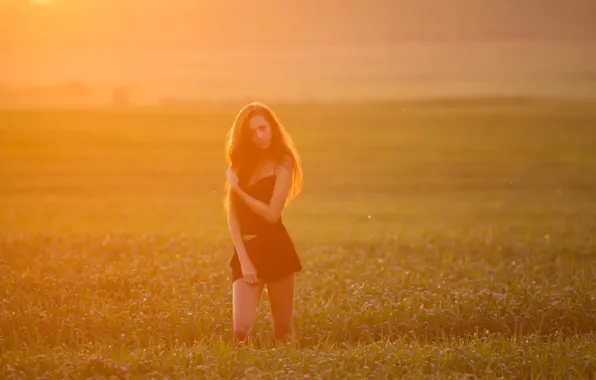 Field, girl, morning, lighting, Vlad