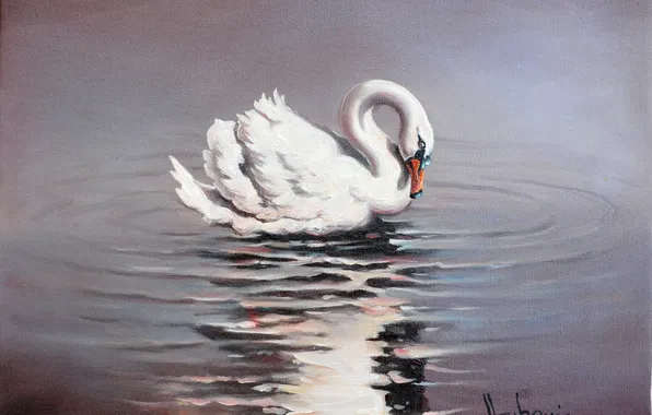 Picture white, water, reflection, Swan, painting