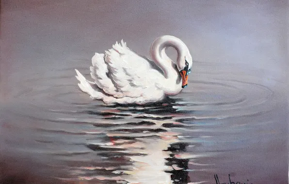 White, water, reflection, Swan, painting