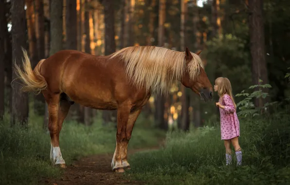 Forest, horse, friendship, girl