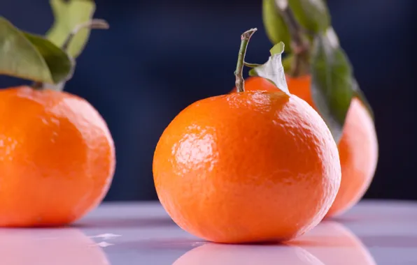 Macro, citrus, fruit, Mandarin