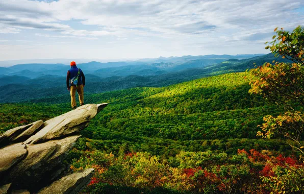 Picture autumn, forest, leaves, clouds, mountains, branches, stones, open