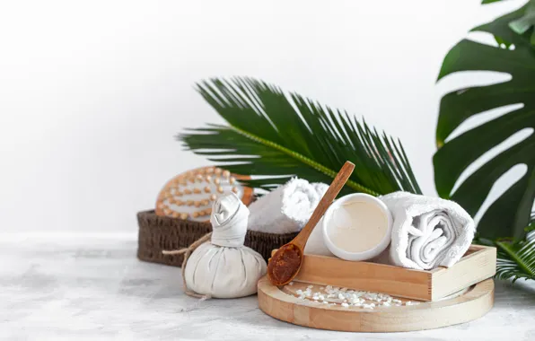 Leaves, relax, towel, spoon, white background, honey, box, cream