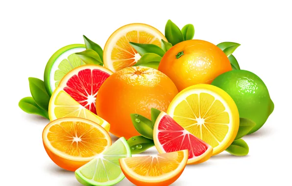 Orange, lime, fruit, citrus